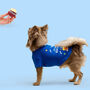 'It's My Birthday' Blue Dog T Shirt, thumbnail 2 of 5