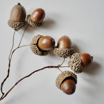 Pair Of Acorn Clusters For Christmas And Autumn Décor, 3 of 4