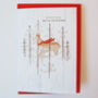 'Wildwood' Mixed Pack Of Eight Christmas Cards, thumbnail 4 of 10