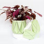 Origami Self Watering Eco Plant Pot: 15cm | Sage, thumbnail 5 of 8