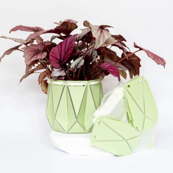 Origami Self Watering Eco Plant Pot: 15cm | Sage, 5 of 8