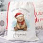Bear Special Delivery Christmas Sack, thumbnail 1 of 2