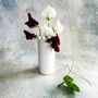 Single Stem Bud Vase: Simple Posy, thumbnail 1 of 7