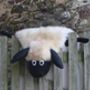 Childs Sheepskin Rug, thumbnail 3 of 5