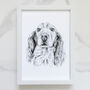 Personalised Pet Portrait Drawing, thumbnail 1 of 11