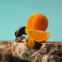 Dark Chocolate Orange, Award Winning Ginger And Lemon, thumbnail 1 of 8