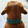Personalised Padded Luxury Leather Dog Collar, thumbnail 3 of 12