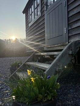 Dapple Shepherd Hut Ultimate Wellbeing Stay With Sauna And Outdoor Shower And Bath, 3 of 11