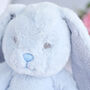 Personalised Blue Baby Boy Bunny Soft Toy, thumbnail 4 of 8
