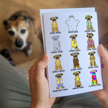 Funny Border Terrier Greetings Card, 3 of 3