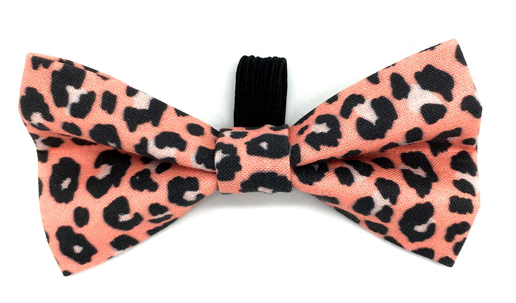 Pink Leopard Print Dog Collar By Ditsy Pet