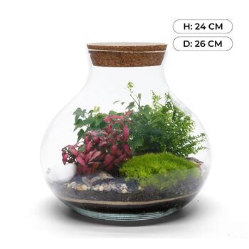 Complete Diy Terrarium Kit | 'Calgary', 3 of 11