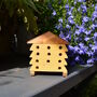 Children's Bees And Butterflies Garden Gift Set, thumbnail 3 of 6