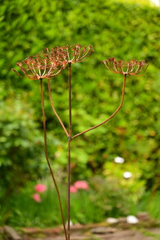 Rusty Metal Cow Parsley, 3 of 8