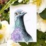 Inky Pigeon Post Postcards, thumbnail 1 of 8