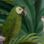 Rainforest Parrots, Tropical Botanical Lampshade, thumbnail 5 of 7