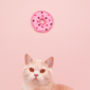 Canadian Catnip Toys, Delicious Doughnuts, Cat Toy, thumbnail 2 of 2