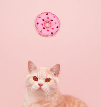 Canadian Catnip Toys, Delicious Doughnuts, Cat Toy, 2 of 2