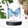 Adonis Morpho Insect Bug Moth Butterfly Bell Jar Entomology Taxidermy Interior Design Home Decor Cloche Modern Display Gift Ornament, thumbnail 1 of 4