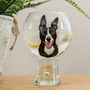 Hand Painted Pet Portrait Gin And Tonic Glass, thumbnail 1 of 4