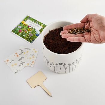 Magical Wildflower Wishes – Plantable Gift For Children, 5 of 9