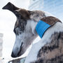 Personalised Cork And Felt Greyhound Dog Collar, thumbnail 6 of 10