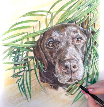 Personalised Pencil Pet Portrait Drawing Or Gift Voucher, 2 of 12
