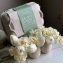 Petite Spring Flower Bud Vase Gift Box, thumbnail 1 of 12