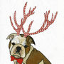 Illustrated Bulldog Boy Pup Deer Blank Card, thumbnail 2 of 2