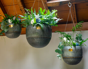 Angelica Set Of Three Vintage Hanging Planters, 3 of 7
