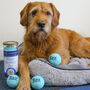 Personalised Dog Tennis Balls, thumbnail 2 of 12