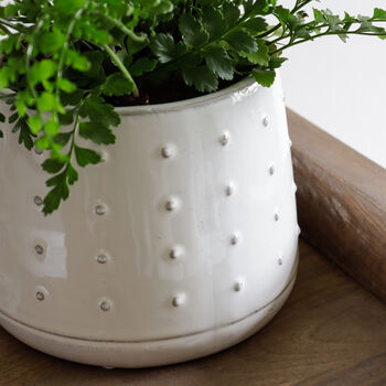 Raised Dots Ceramic Plant Pot, 2 of 5