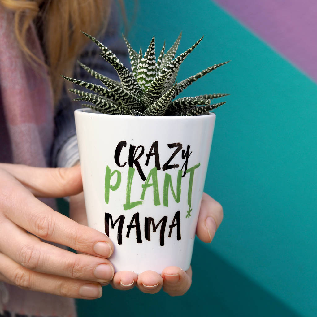 Crazy Plant Mama Pot By So Close