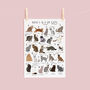 The A To Z Of Cats Print, thumbnail 2 of 6