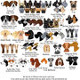 Personalised Dog Tag And Collar Gift Set, thumbnail 6 of 12
