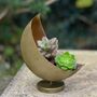 Metal Moon Shaped Planter With Choice Of Suculents, thumbnail 1 of 4
