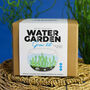 Water Garden Grow Kit, thumbnail 1 of 4