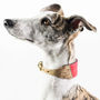 Personalised Cork And Felt Greyhound Dog Collar, thumbnail 1 of 10