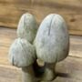 Stone Mushrooms Set Of Three On A Base, thumbnail 4 of 6