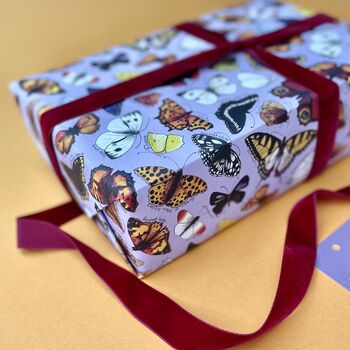 Butterflies Of Britain Wrapping Paper Set, 2 of 5