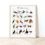 The A To Z Of The Jungle Print, thumbnail 1 of 6