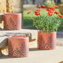Set Of Three Ceramic Crackle Glaze Planters, thumbnail 1 of 9