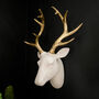 White And Gold Wall Stag Head, thumbnail 1 of 3