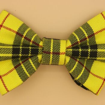 Yellow Check Dog Bow Tie, 4 of 5