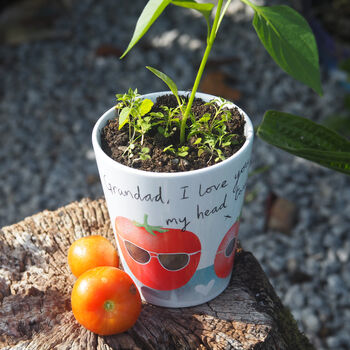 Tomato Plant Pot Gift For Dad, Grandad Or Daddy, 2 of 7