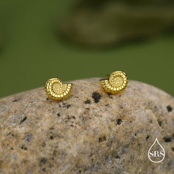Sterling Silver Ammonite Shell Stud Earrings, 2 of 12