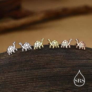 Sterling Silver Tortoise Stud Earrings, 6 of 12