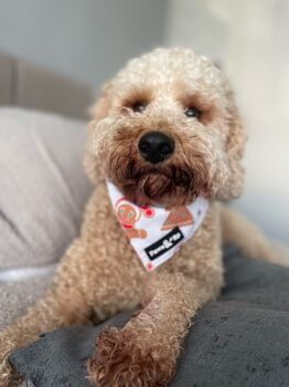 Gingerbread Bandana, 3 of 4