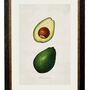 Framed Study Of Avocado Print, thumbnail 2 of 2