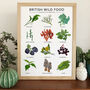 'British Wild Food' Print, thumbnail 1 of 4